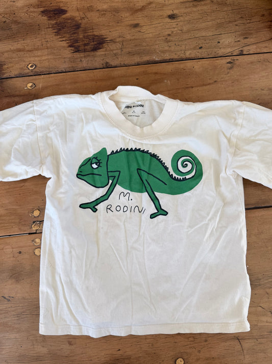 Mini rodini size 6-7